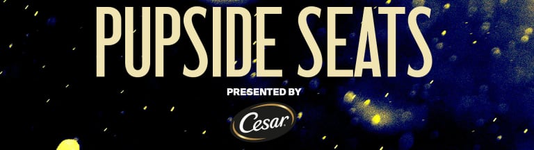 pupside seats button 2025